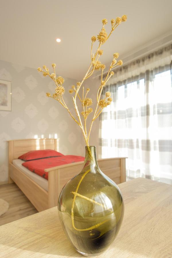 Mainzimmer - Business Apartments Hasloch  Экстерьер фото